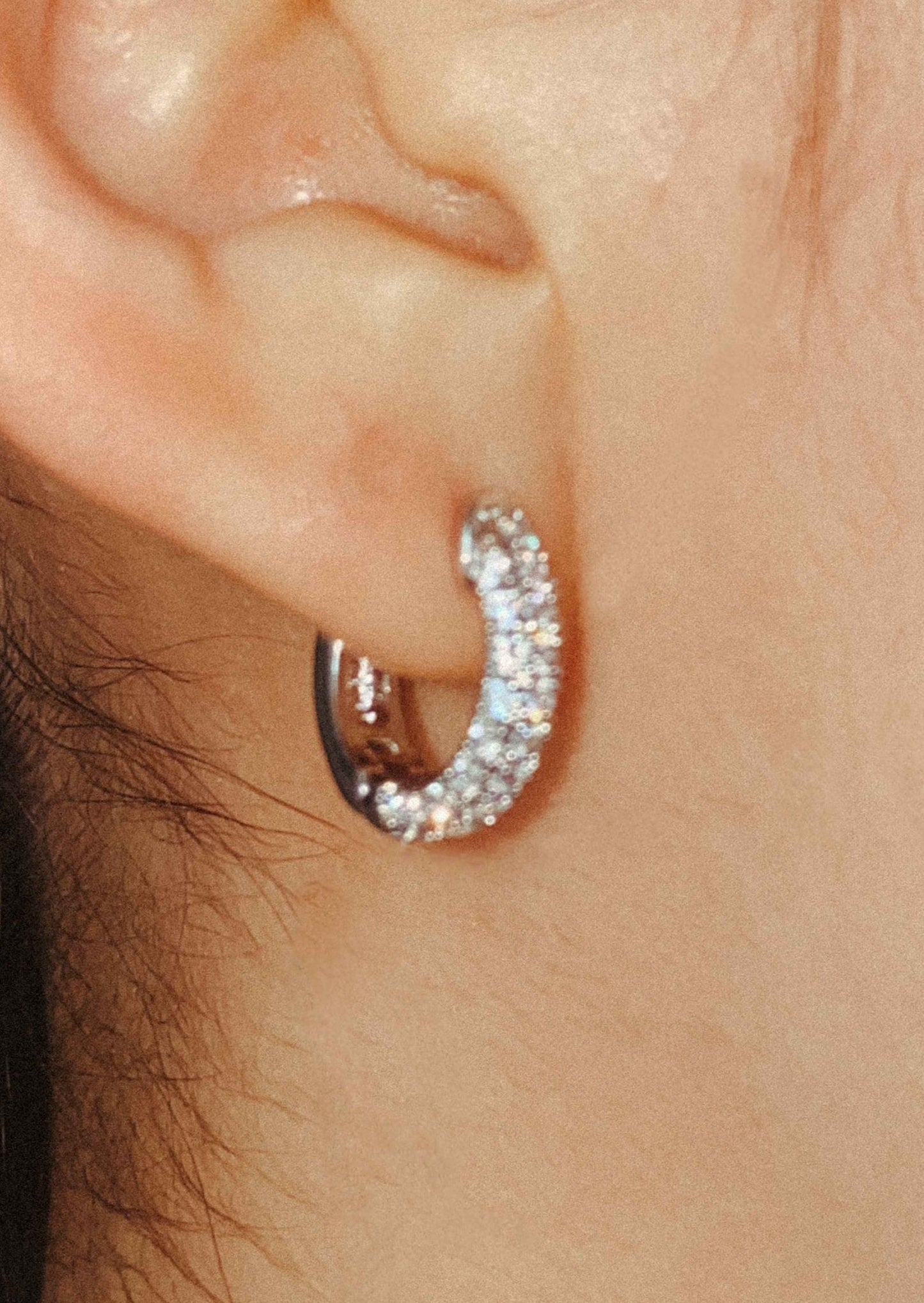 Double Row Hoop Earrings with Zirconia in Silver Tone