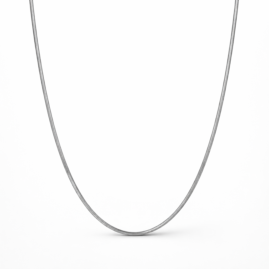 Silver necklace on a white background